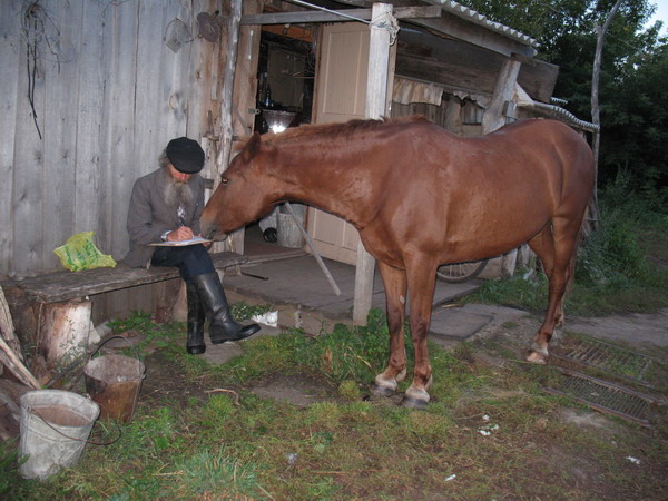 Написал лошадки. Конь написать. Как написать лошадь. Лошадь писает. Как писать лошадиный.